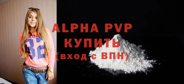 дживик Краснослободск