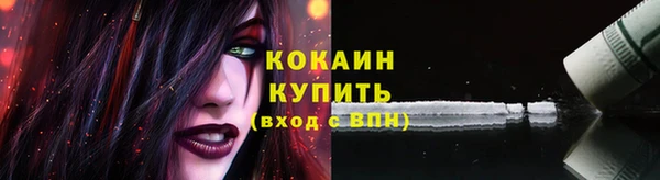 дживик Краснослободск